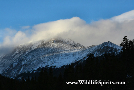 Click Picture to send as an  E-PostCard 63k 550x367
